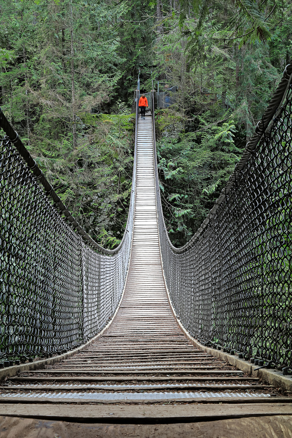 Edda Kaiblinger - Suspension bridge (27)