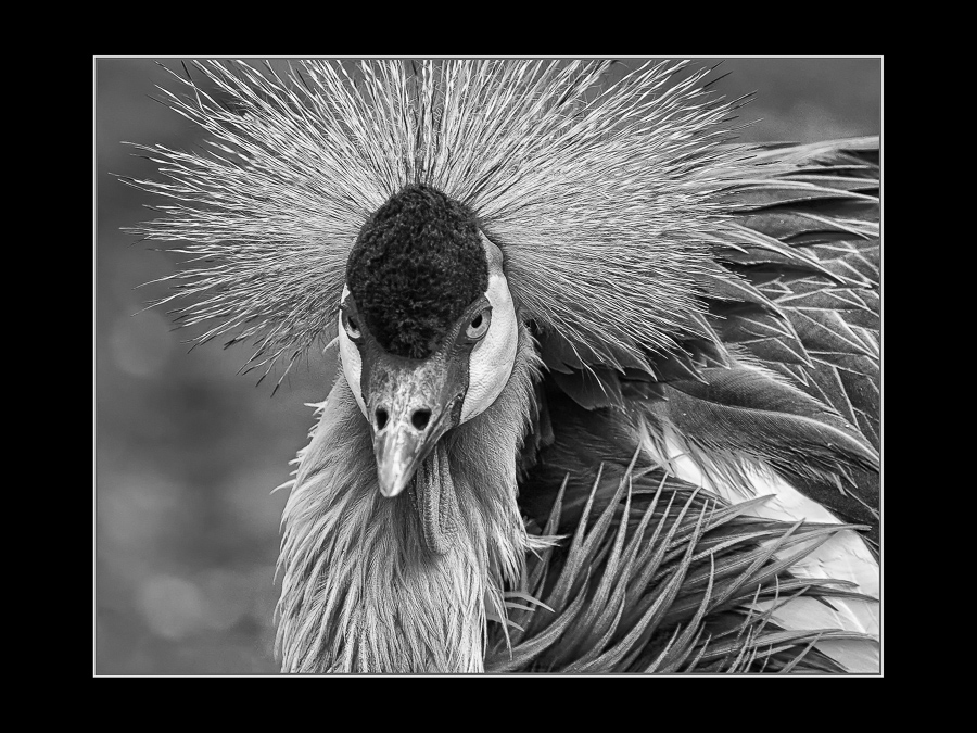 Christoph Reiter - beauty (27)
