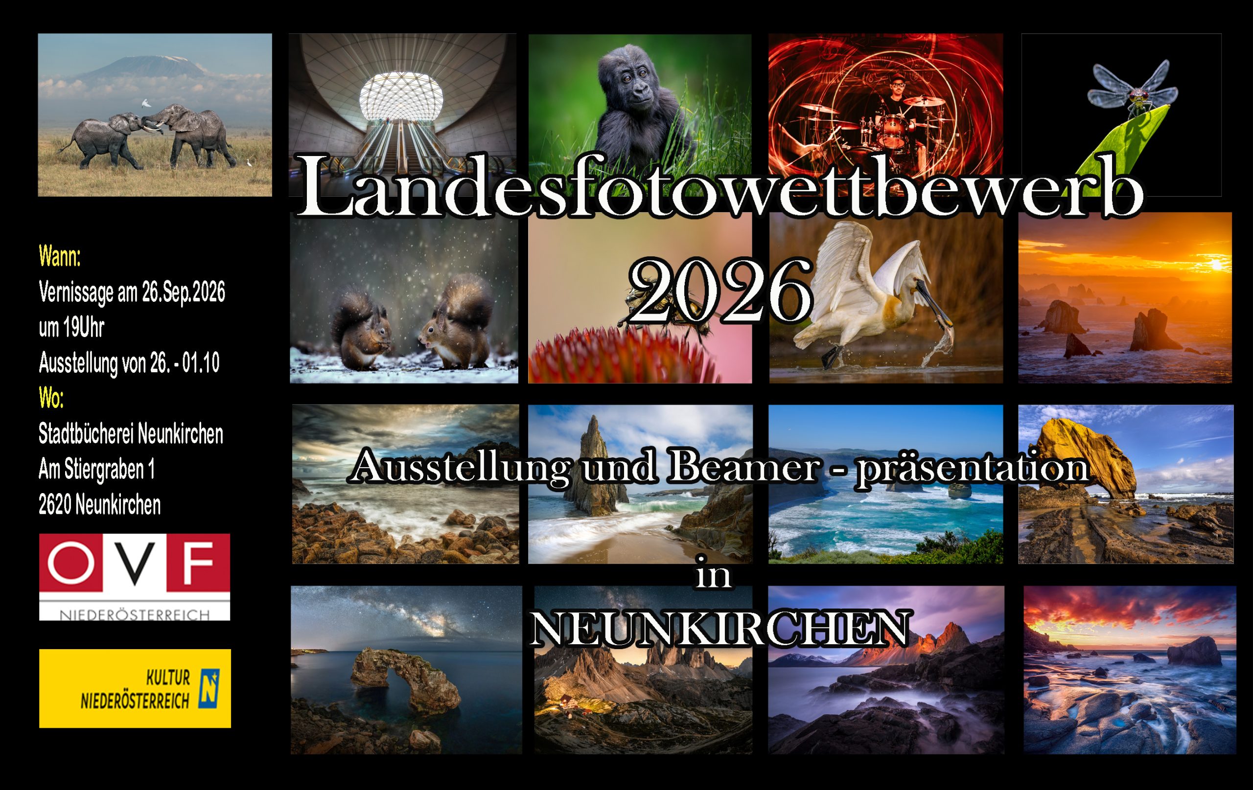 Einladung zur Siegerehrung der ÖVF-Landesmeisterschaften 2026 und Generalversammlung